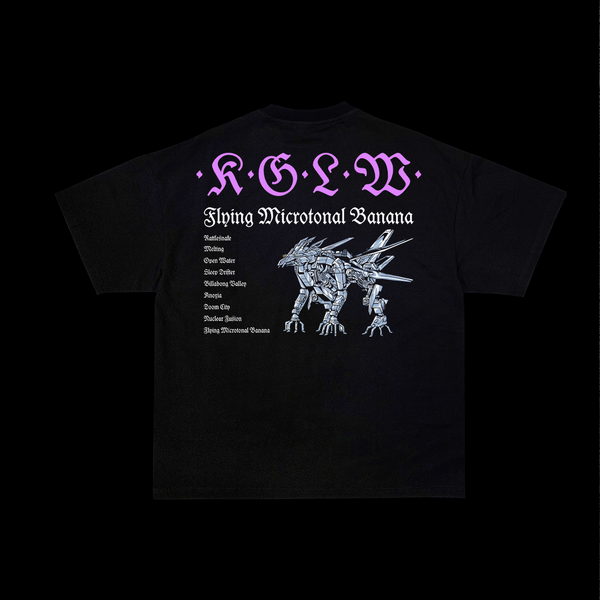 DESIGN T-SHIRT KING GIZZARD AND THE LIZARD WIZZARD